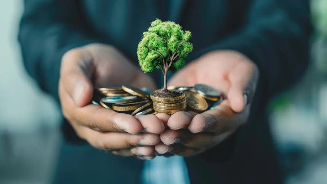 Investment Law